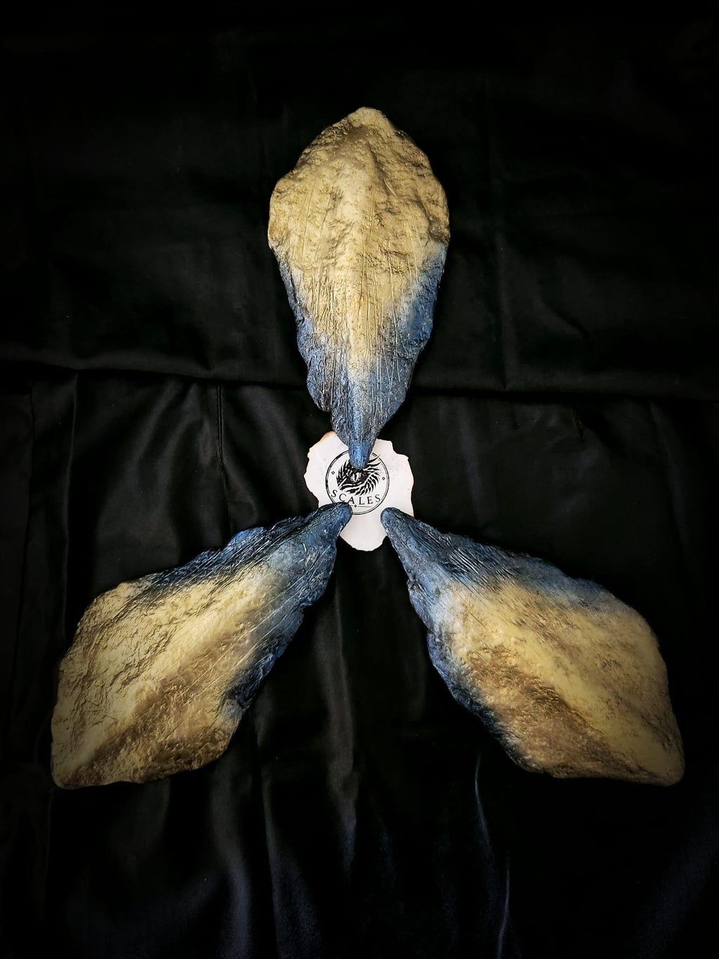 Écailles de Sunfyre artisanales sur fond sombre