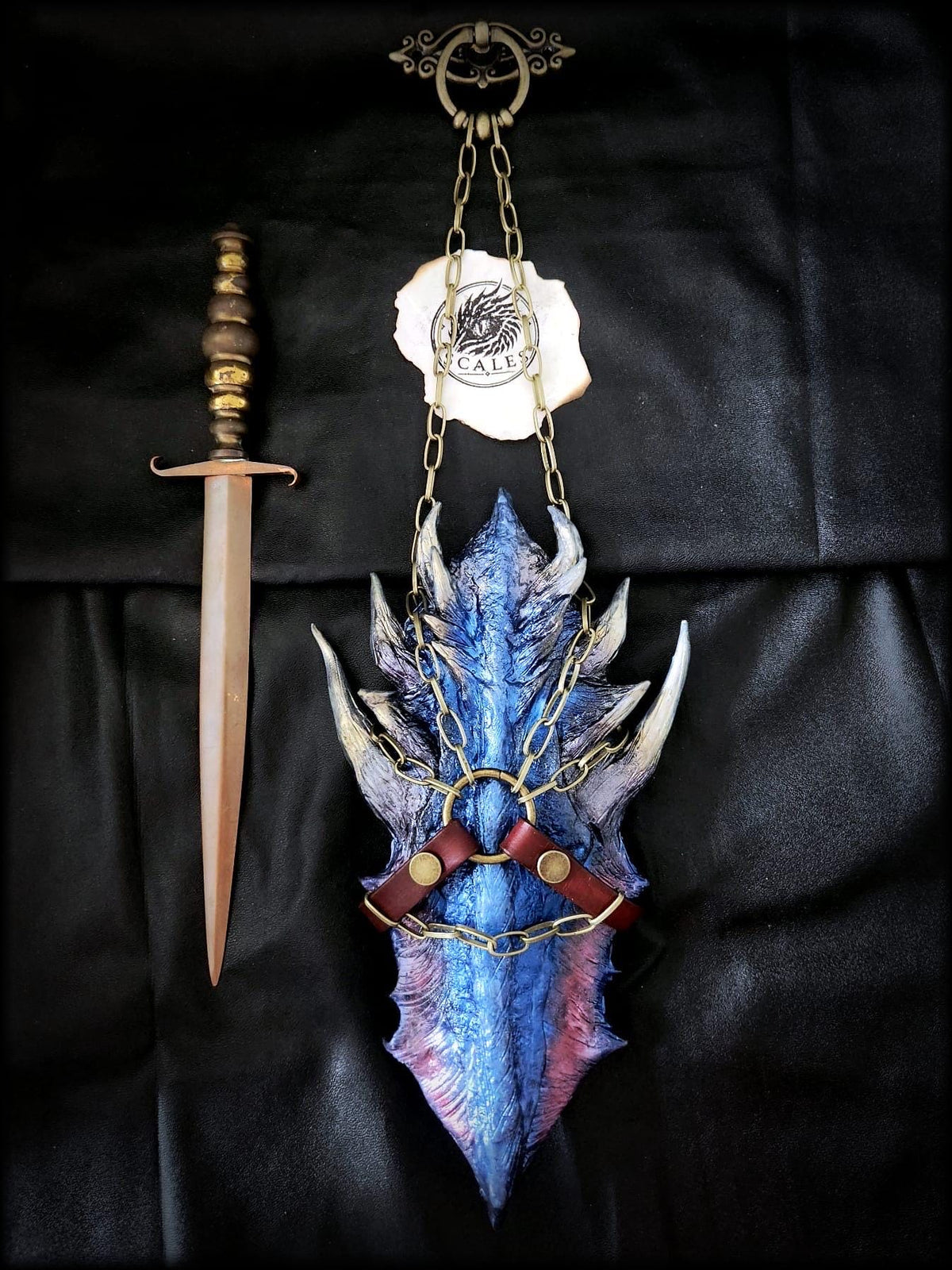 Écaille d’Antares avec harnais en cuir de vachette