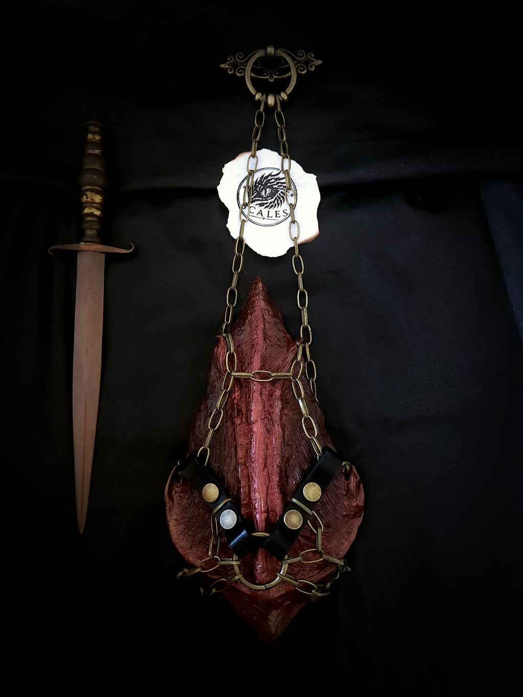 Écaille de Thorn rouge avec harnais en cuir et chaîne – Scales