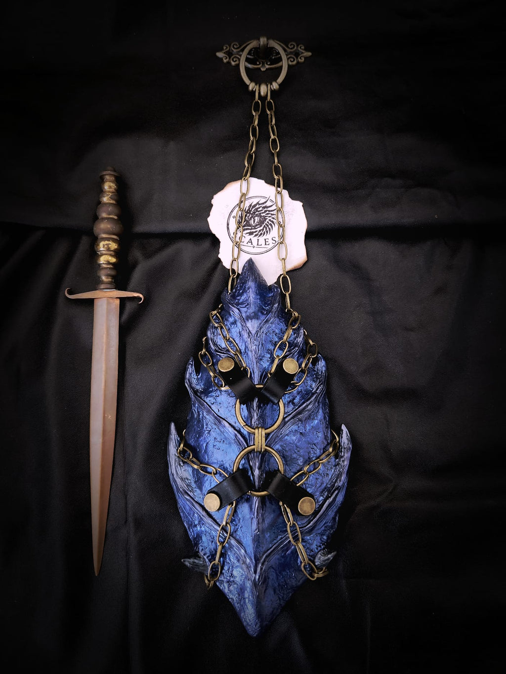 Écaille de Sgaeyl bleue avec harnais en cuir et chaîne – Scales