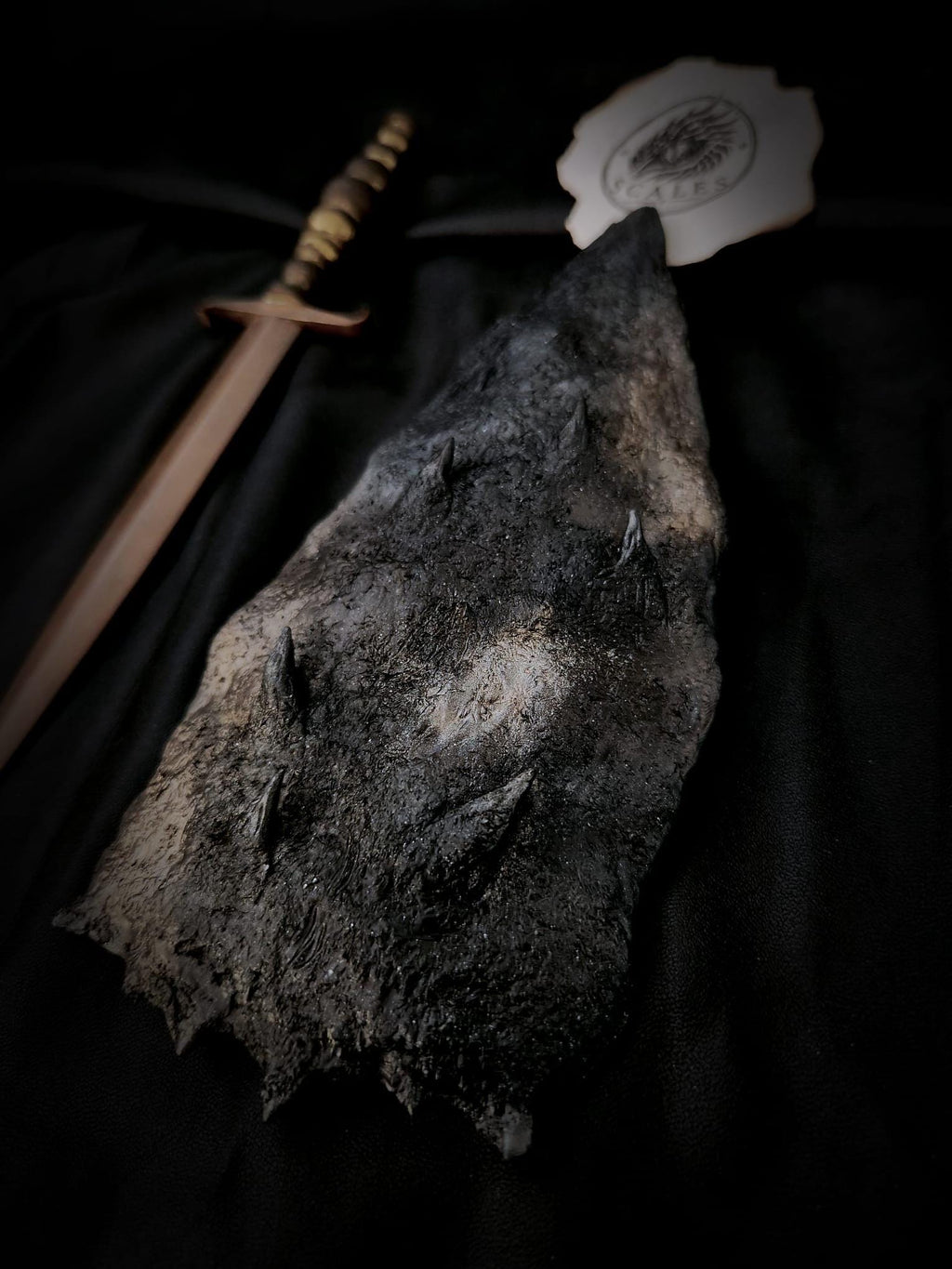 Détail des reliefs et taches claires de l’écaille de Sheepstealer