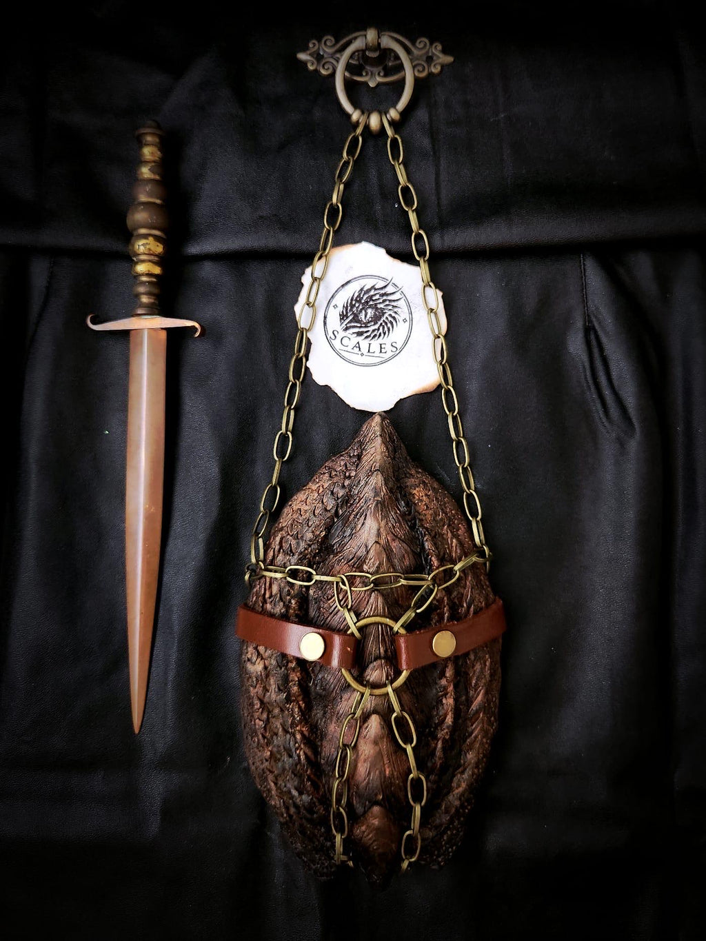 Écaille de Vermithor avec harnais en cuir de vachette