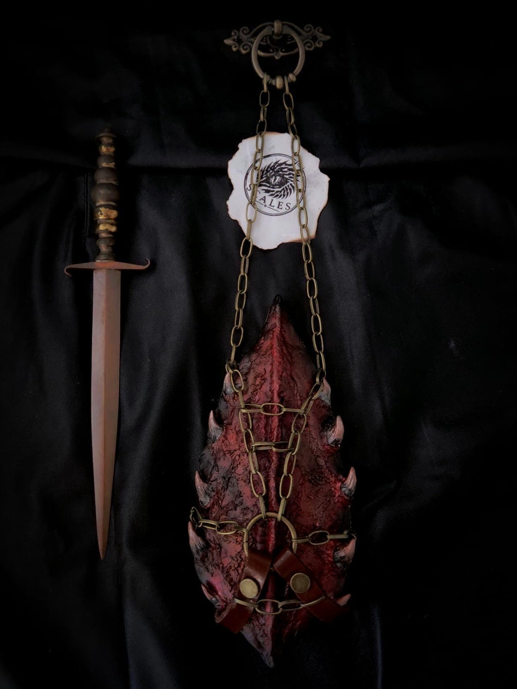 Écaille de Meleys avec harnais en cuir de vachette